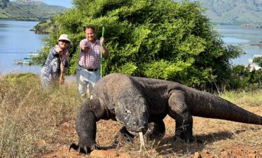 Komodo Dragon Expedition