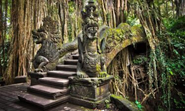 Ubud & Kintamani Soul